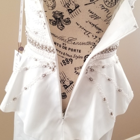 Sue Wong Wedding Dress - Picture 6 of 13